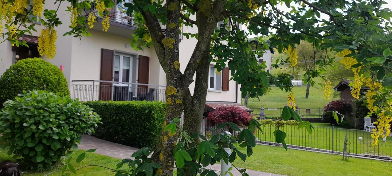 La Tita Daire Somendenna Dış mekan fotoğraf